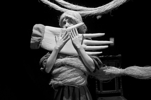 КОРОЛЕВСТВО ДЛИННОЙ КОСЫ