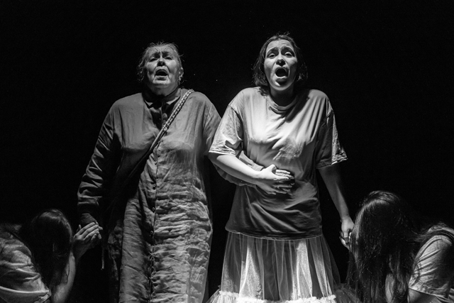 О НЕРПЕ, РИМСКОЙ ИМПЕРИИ И ЧАЙКЕ-ЧРЕЗВЫЧАЙКЕ О НЕРПЕ, РИМСКОЙ ИМПЕРИИ И ЧАЙКЕ-ЧРЕЗВЫЧАЙКЕ