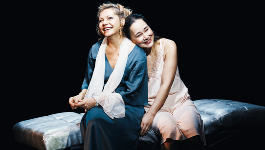 Трамвай &laquo;Желание&raquo;